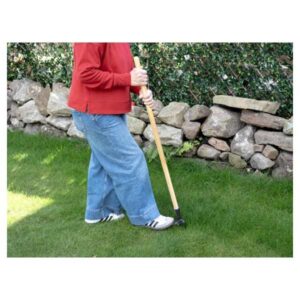 Long handle weed puller