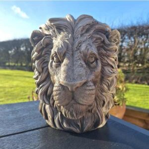 Lions Head Pot 23cm