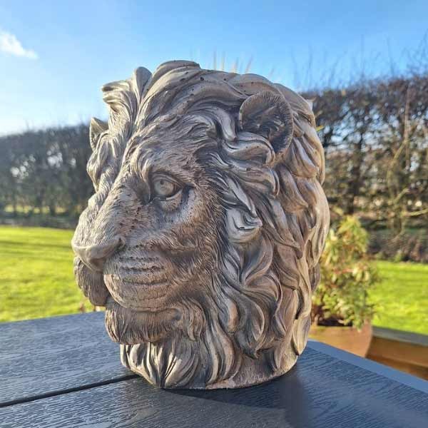Lions Head Pot 23cm 2 Lions Head Pot 23cm - Image 2