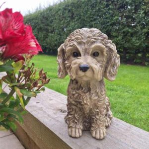 Cockapoo 23cm