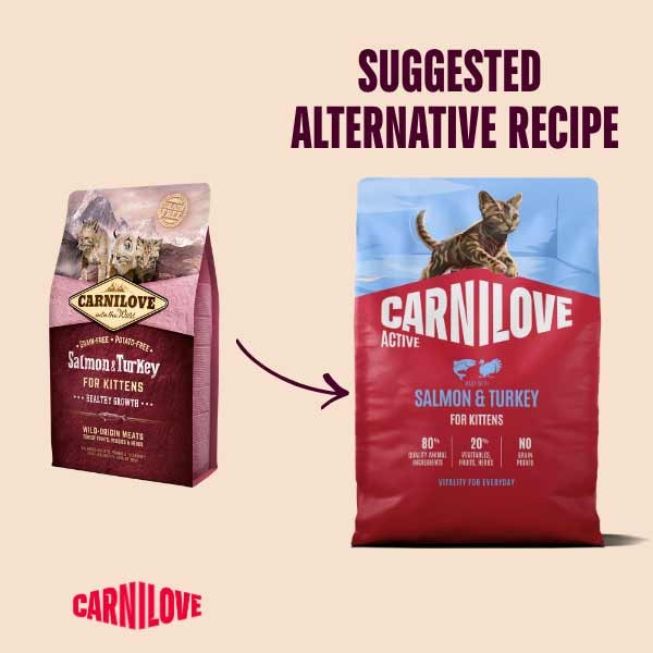 Carnilove Active Salmon & Turkey Kitten 400g Dry Cat Food 2 Carnilove Active Salmon & Turkey Kitten 400g Dry Cat Food - Image 2