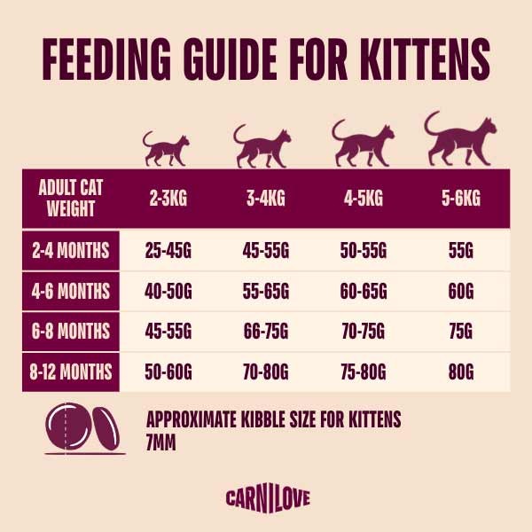 Carnilove Active Salmon & Turkey Kitten 400g Dry Cat Food 3 Carnilove Active Salmon & Turkey Kitten 400g Dry Cat Food - Image 3