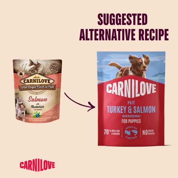Carnilove Turkey & Salmon with Blueberries Puppy 300g Pouch Wet Dog Food 2 Carnilove Turkey & Salmon with Blueberries Puppy 300g Pouch Wet Dog Food - Image 2