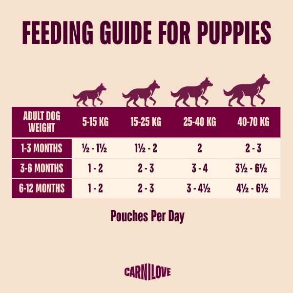 Carnilove Turkey & Salmon with Blueberries Puppy 300g Pouch Wet Dog Food 3 Carnilove Turkey & Salmon with Blueberries Puppy 300g Pouch Wet Dog Food - Image 3
