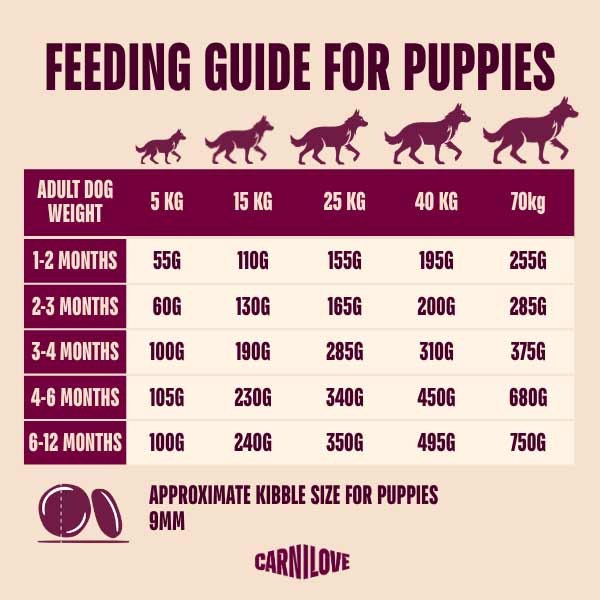 Carnilove Active Salmon & Turkey Puppy 1.5kg Dry Dog Food 3 Carnilove Active Salmon & Turkey Puppy 1.5kg Dry Dog Food - Image 3