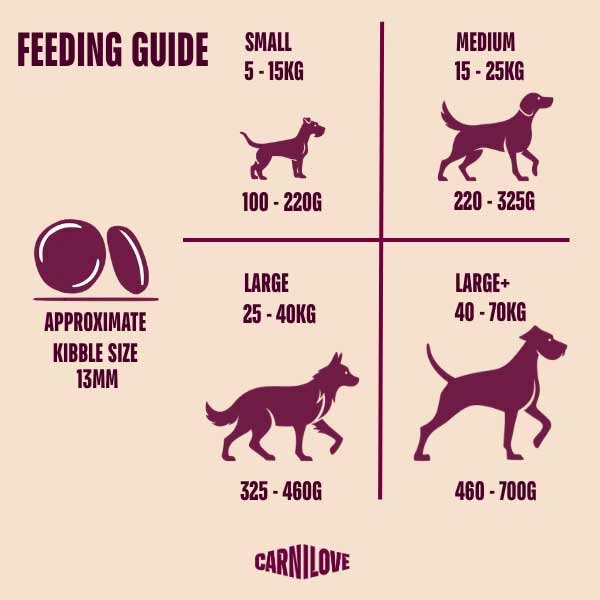 Carnilove Active Salmon & Turkey Adult 12kg Dry Dog Food 3 Carnilove Active Salmon & Turkey Adult 12kg Dry Dog Food - Image 3