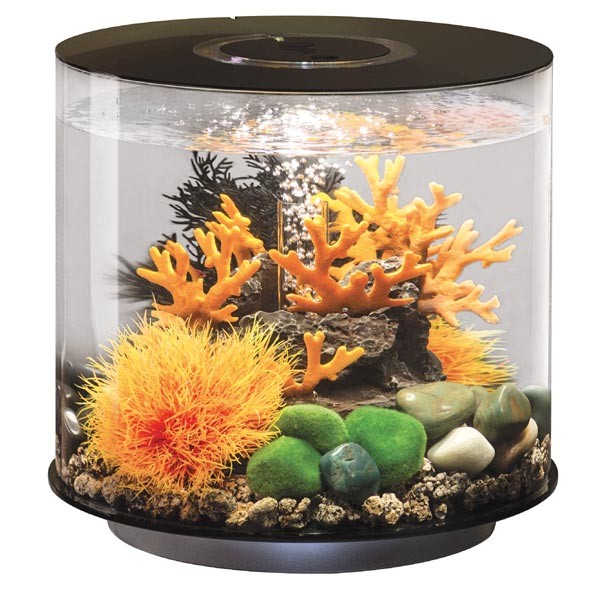 biOrb Tube 15 Litre Black Aquarium 1 biOrb Tube 15 Litre Black Aquarium