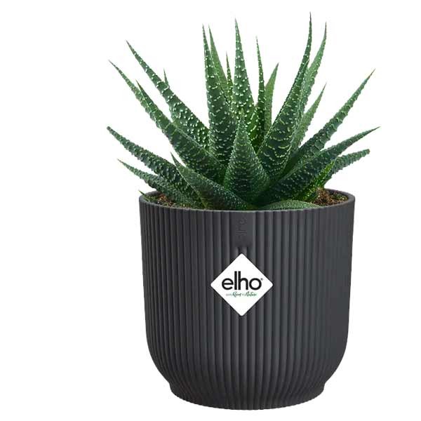 Vibes Fold Round Mini 9cm Anthracite 3 Vibes Fold Round Mini 9cm Anthracite - Image 3