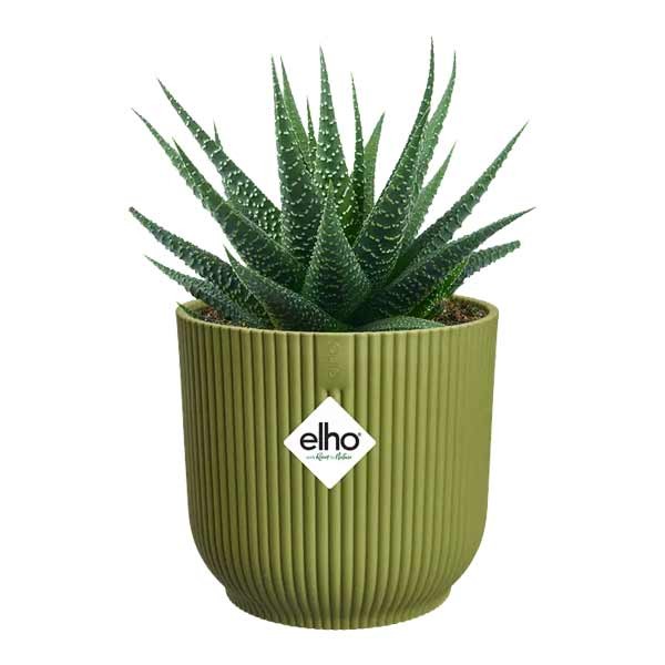 Vibes Fold Round Mini 9cm Fern Green 3 Vibes Fold Round Mini 9cm Fern Green - Image 3