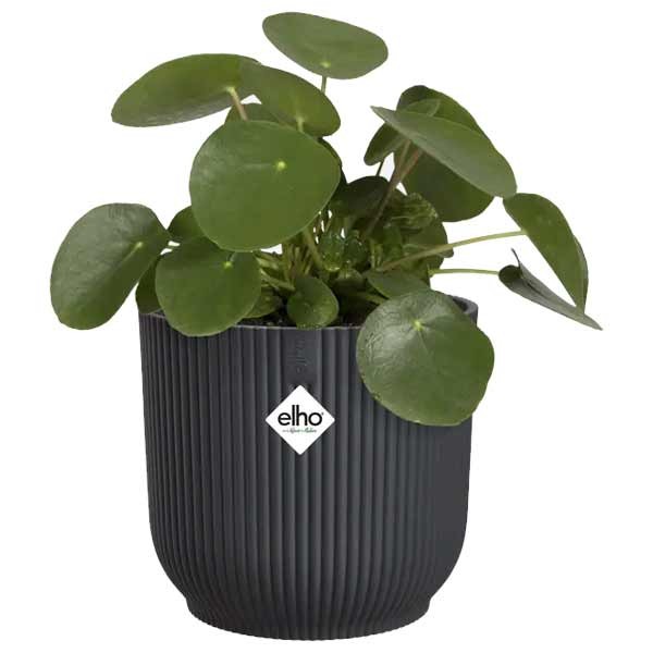 Vibes Fold Round 14cm Anthracite 3 Vibes Fold Round 14cm Anthracite - Image 3