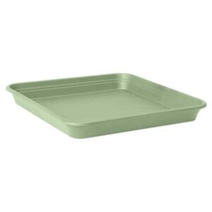 Universal Saucer Quadro 31Cm Mintgreen