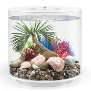 biOrb Tube 15 Litre White Aquarium