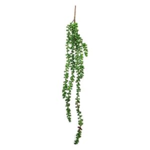 Betta Terra Green Vine 70cm