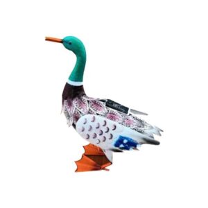 Bermuda Duck