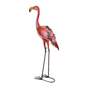 Bermuda Flamingo looking forward