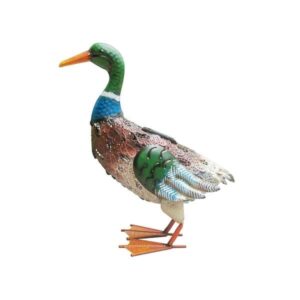 Bermuda Duck 2