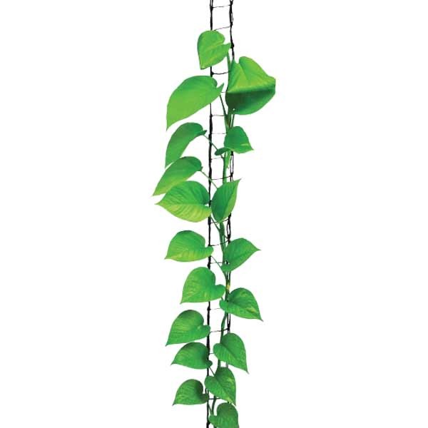 Garland Green Jute Plant Ladder 3m 2 Garland Green Jute Plant Ladder 3m - Image 2