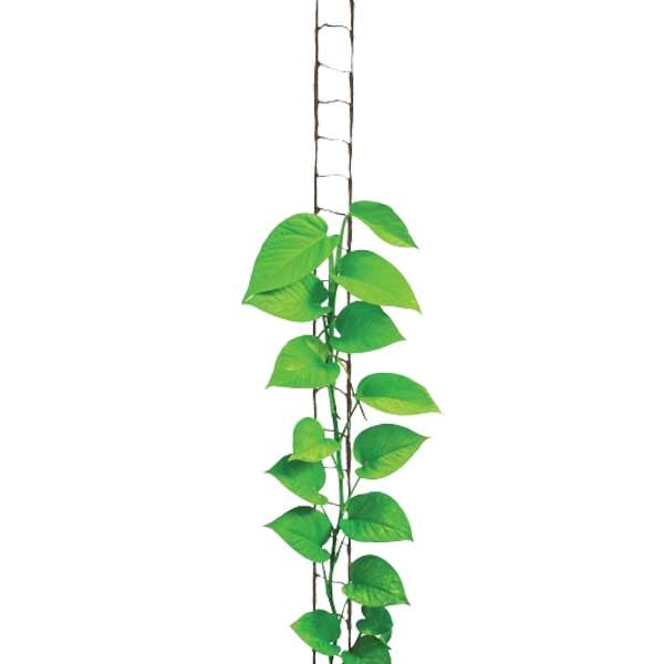 Garland Natural Jute Plant Ladder 3m 2 Garland Natural Jute Plant Ladder 3m - Image 2