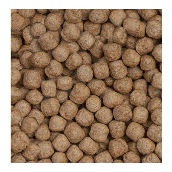 Sera Koi Royal Large 3.8ltr (1.05kg) 2 Sera Koi Royal Large 3.8ltr (1.05kg) - Image 2