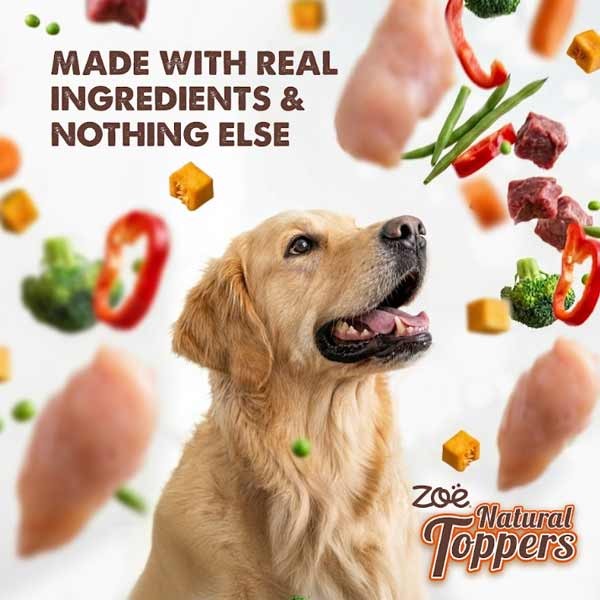 Zoe Natural Toppers Chicken with Red Pepper, Green Beans & Broccoli 170g Can 3 Zoe Natural Toppers Chicken with Red Pepper, Green Beans & Broccoli 170g Can - Image 3