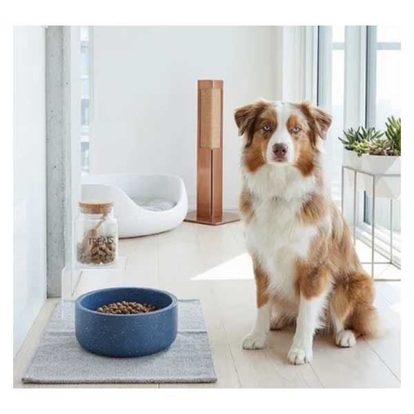 Speckle Double Walled Stainless Steel Pet Bowl 14cm 3 Speckle Double Walled Stainless Steel Pet Bowl 14cm - Image 3