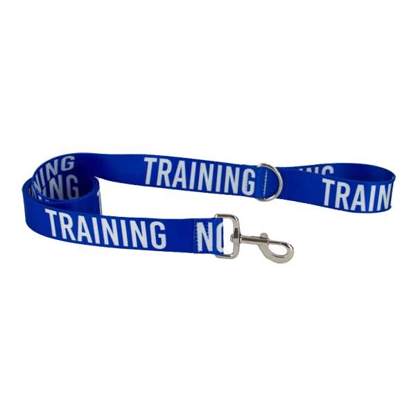 Ancol Obedia Awareness Lead - Training 1 Ancol Obedia Awareness Lead - Training