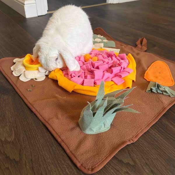 Burrow & Squeak Veg Patch Snuffle Mat 4 Burrow & Squeak Veg Patch Snuffle Mat - Image 4