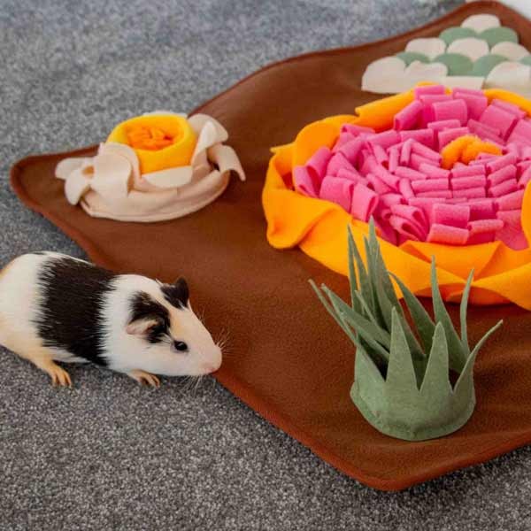 Burrow & Squeak Veg Patch Snuffle Mat 5 Burrow & Squeak Veg Patch Snuffle Mat - Image 5