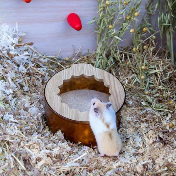 Burrow & Squeak Sand Bath & Dig Box 3 Burrow & Squeak Sand Bath & Dig Box - Image 3