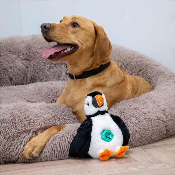 Orva Tough Tummies Puffin Treat Belly 3 Orva Tough Tummies Puffin Treat Belly - Image 3