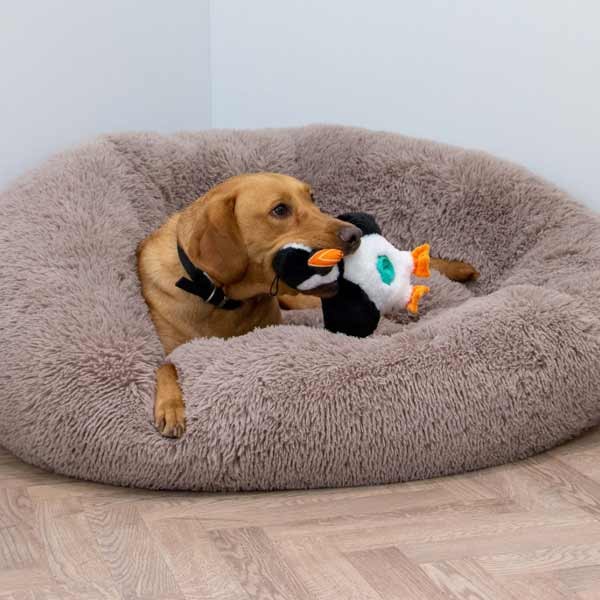 Orva Tough Tummies Puffin Treat Belly 4 Orva Tough Tummies Puffin Treat Belly - Image 4