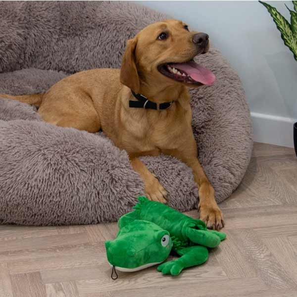 Orva Snuffle Croc Dog Toy 4 Orva Snuffle Croc Dog Toy - Image 4