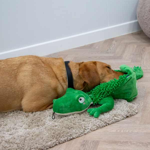 Orva Snuffle Croc Dog Toy 5 Orva Snuffle Croc Dog Toy - Image 5