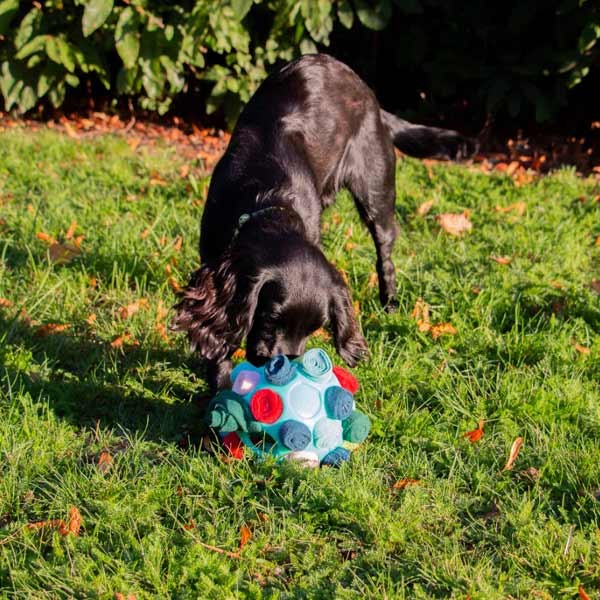 Orva Interactive Snuffle Ball 4 Orva Interactive Snuffle Ball - Image 4