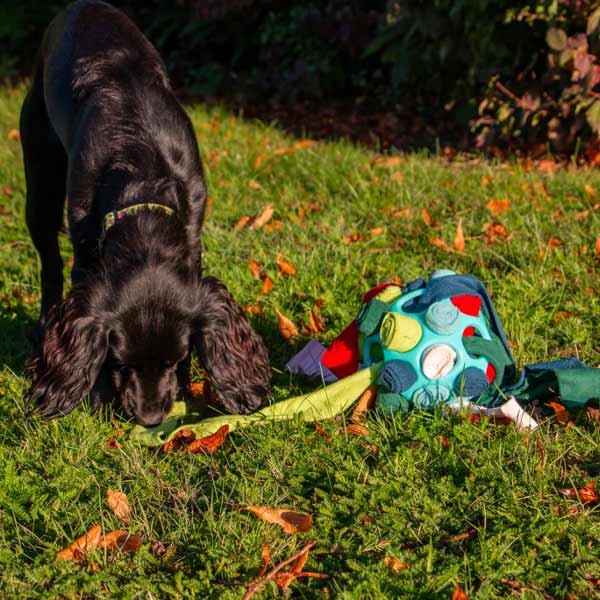 Orva Interactive Snuffle Ball 5 Orva Interactive Snuffle Ball - Image 5
