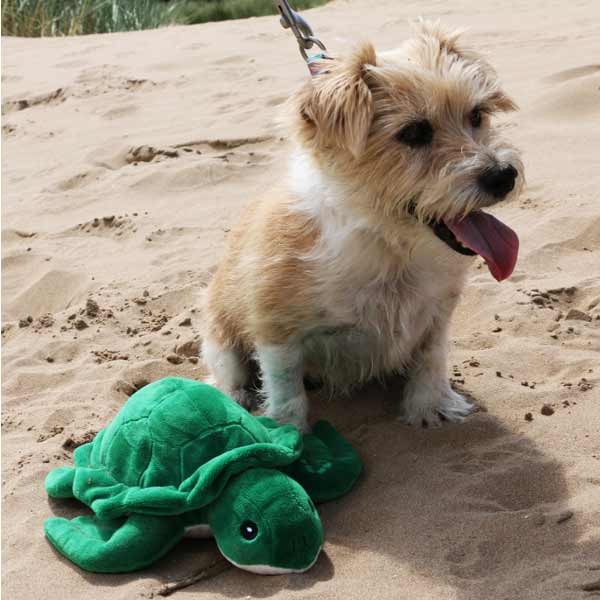 Ancol Made From Terry The Turtle Cuddler 3 Ancol Made From Terry The Turtle Cuddler - Image 3