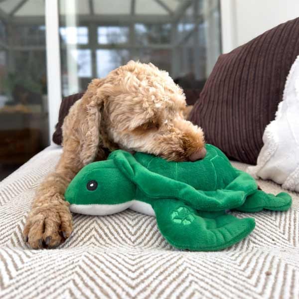Ancol Made From Terry The Turtle Cuddler 4 Ancol Made From Terry The Turtle Cuddler - Image 4
