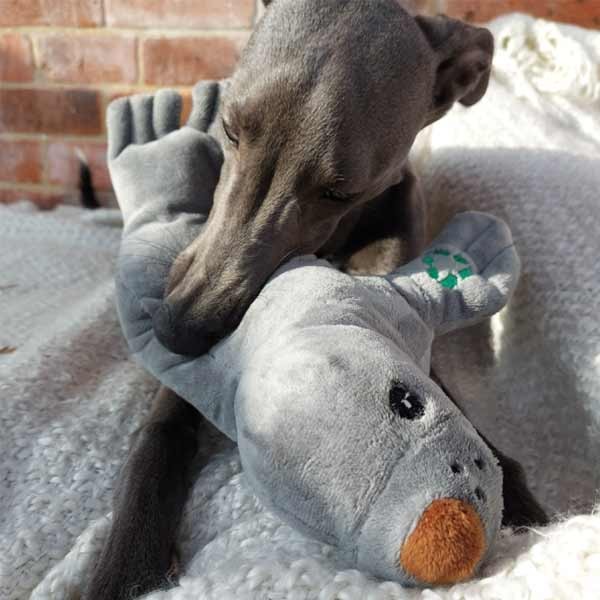 Ancol Made From Sally The Seal Cuddler 2 Ancol Made From Sally The Seal Cuddler - Image 2
