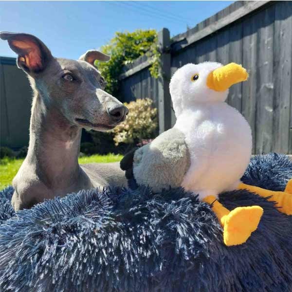 Ancol Made From Steve The Seagull Cuddler 2 Ancol Made From Steve The Seagull Cuddler - Image 2