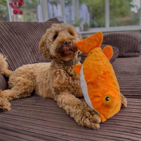 Ancol Made From Patty The Pufferfish Cuddler 2 Ancol Made From Patty The Pufferfish Cuddler - Image 2
