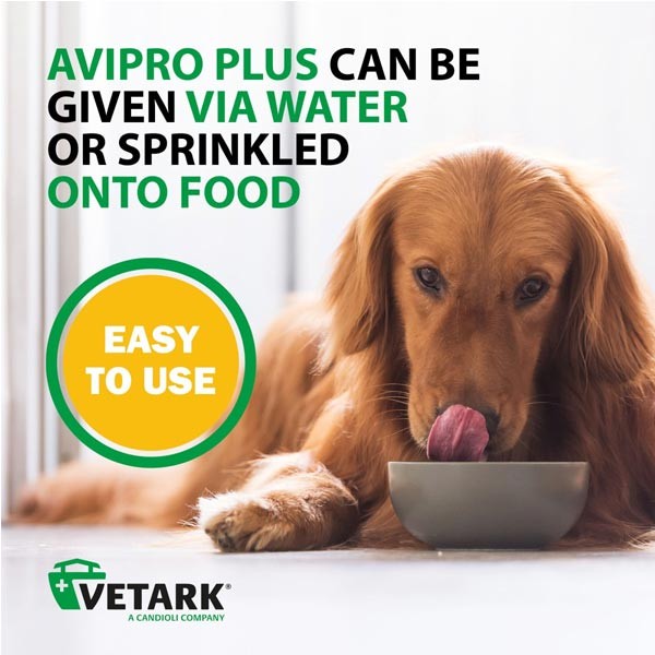 Vetark Avipro Plus Probiotic for Dogs 100g 2 Vetark Avipro Plus Probiotic for Dogs 100g - Image 2