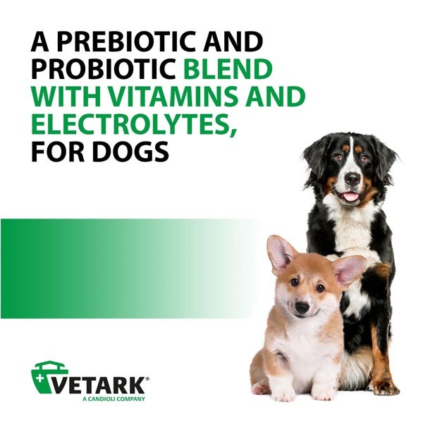 Vetark Avipro Plus Probiotic for Dogs 100g 4 Vetark Avipro Plus Probiotic for Dogs 100g - Image 4