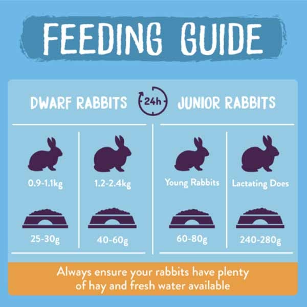 Burgess Excel Rabbit Junior & Dwarf Nuggets Mint 10kg 3 Burgess Excel Rabbit Junior & Dwarf Nuggets Mint 10kg - Image 3