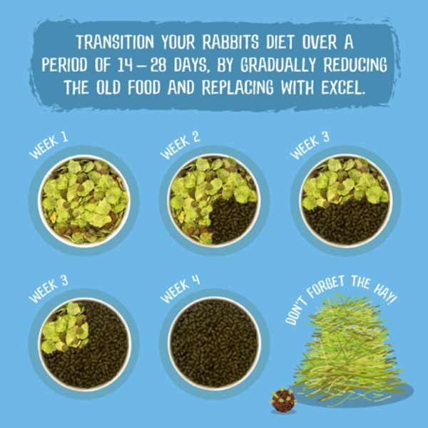 Burgess Excel Rabbit Junior & Dwarf Nuggets Mint 10kg 4 Burgess Excel Rabbit Junior & Dwarf Nuggets Mint 10kg - Image 4