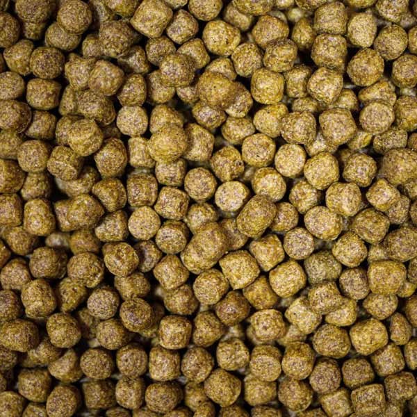 NT Labs Pond Medikoi Health 6mm 1.75kg 2 NT Labs Pond Medikoi Health 6mm 1.75kg - Image 2