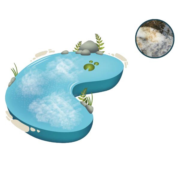 NT Labs Pond FoamClear Foam Control 250ml 2 NT Labs Pond FoamClear Foam Control 250ml - Image 2