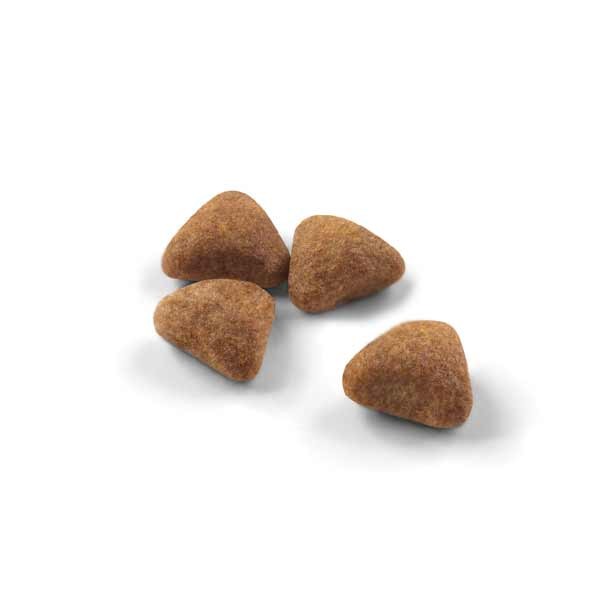 Royal Canin Indoor 27 Adult 2kg Dry Cat Food 2 Royal Canin Indoor 27 Adult 2kg Dry Cat Food - Image 2