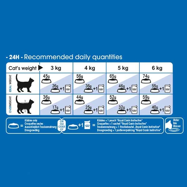 Royal Canin Indoor 27 Adult 2kg Dry Cat Food 3 Royal Canin Indoor 27 Adult 2kg Dry Cat Food - Image 3