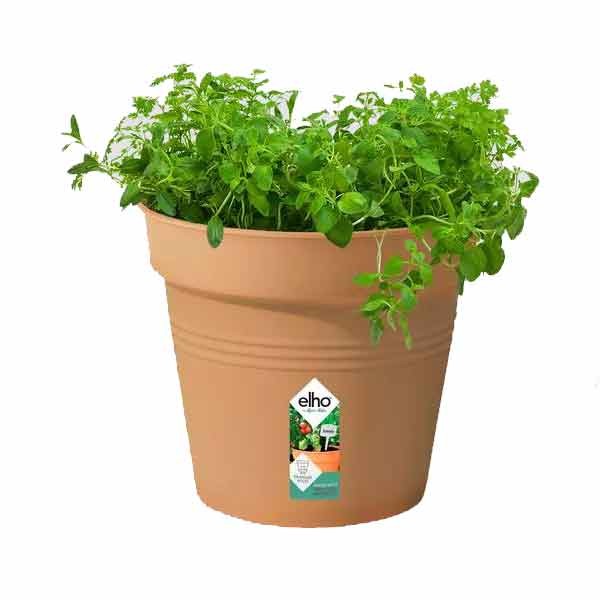 Elho Green Basics Growpot Mild Terra 24cm 2 Elho Green Basics Growpot Mild Terra 24cm - Image 2