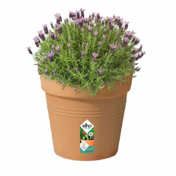 Elho Green Basics Growpot Mild Terra 35cm 2 Elho Green Basics Growpot Mild Terra 35cm - Image 2